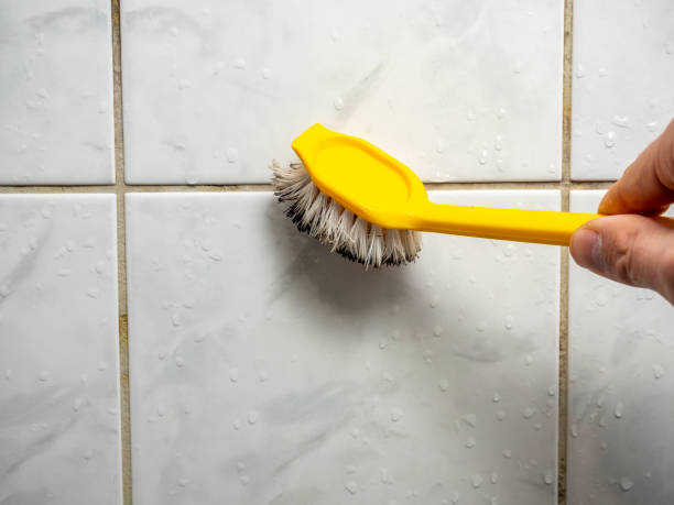 Best Emergency Mold Removal  in St Michael, MN