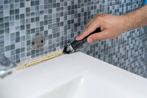 Best Mold Testing  in St Michael, MN