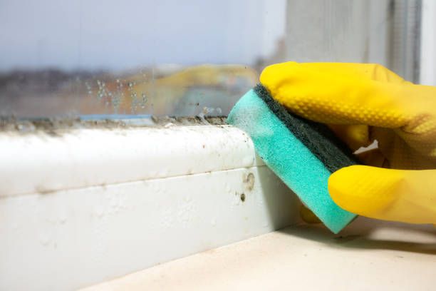 Water Damage Restoration in St Michael, MN