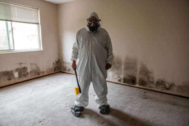 Best Crawl Space Mold Removal  in St Michael, MN